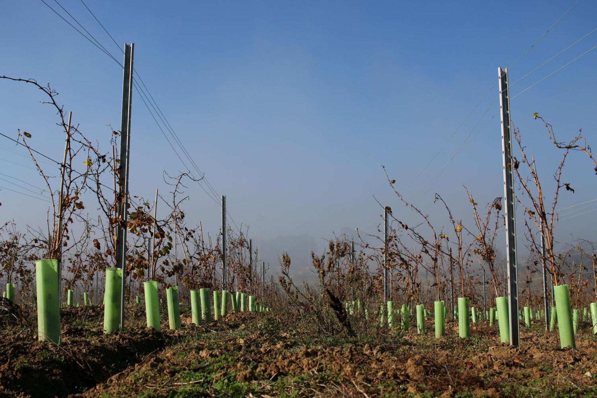 Willa Entre Vinhas & Mar Óbidos Zewnętrze zdjęcie